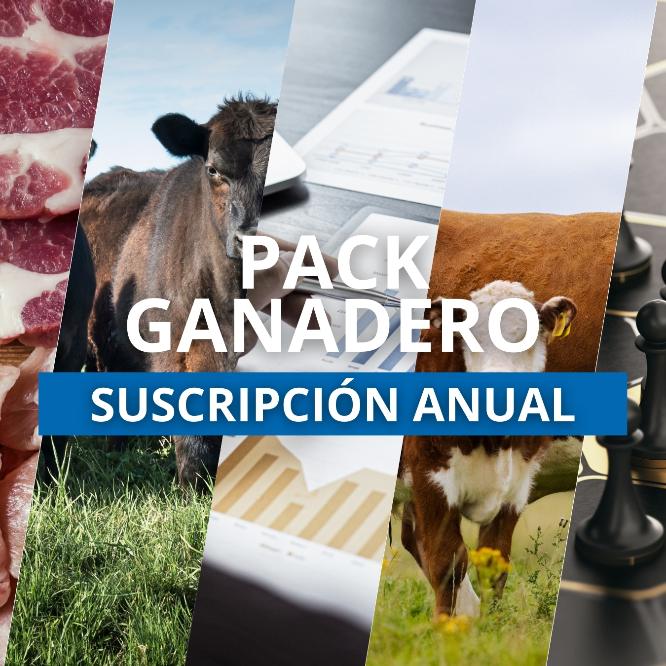 Pack Ganadero