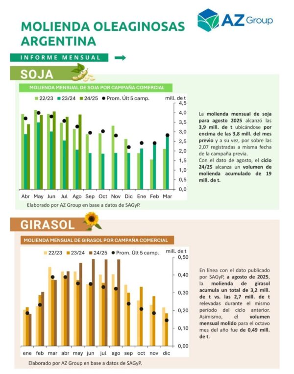 Informe Molienda