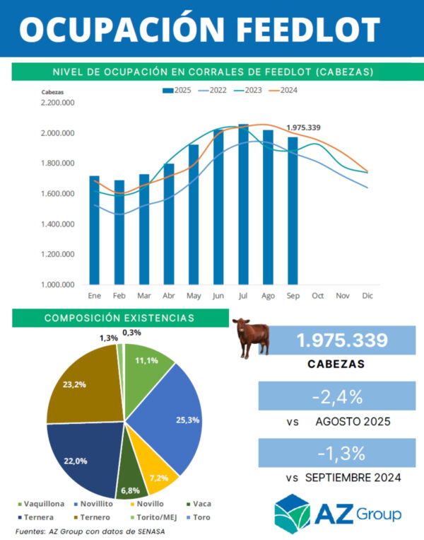 Ocupación Feedlot v3