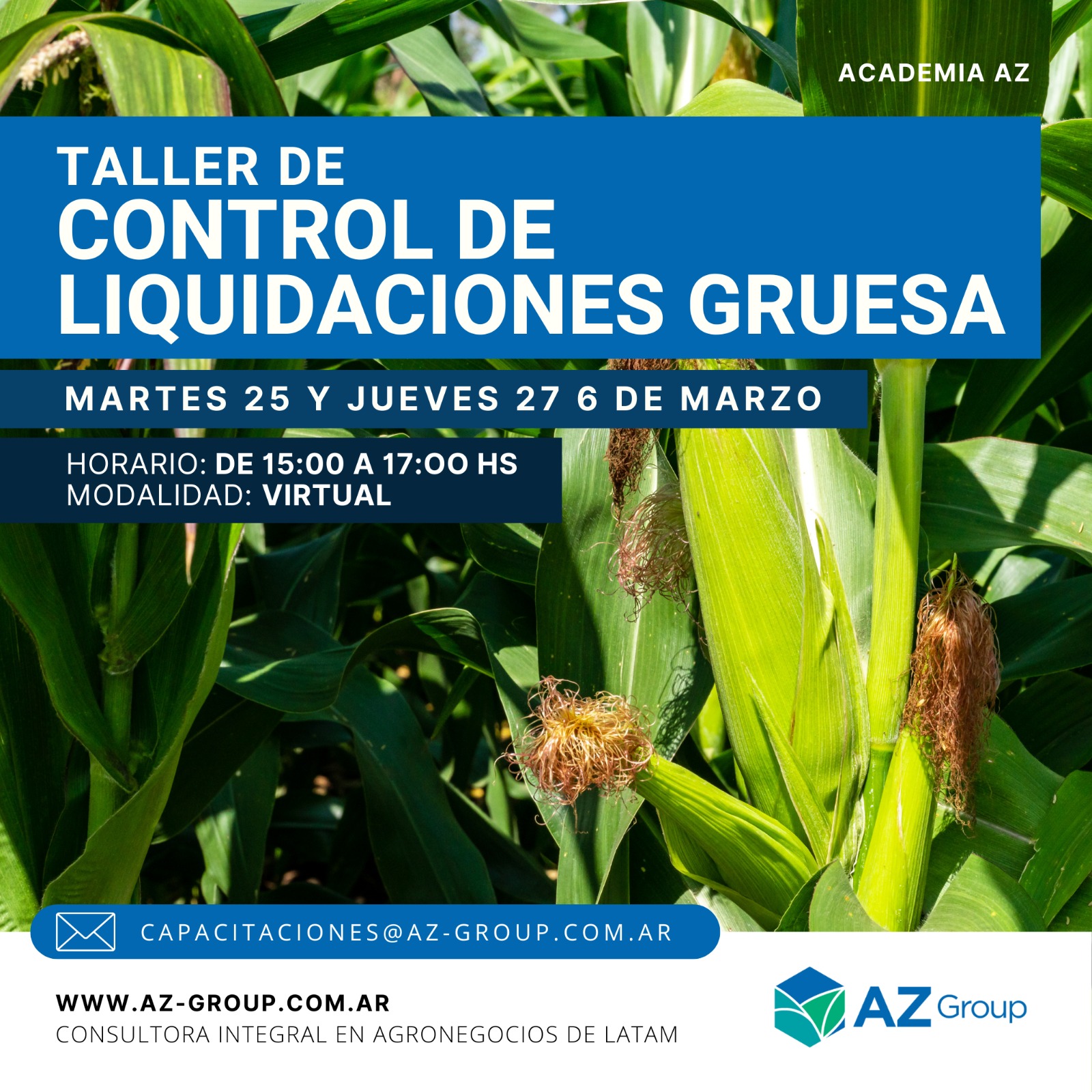 Taller de Control de Liquidaciones