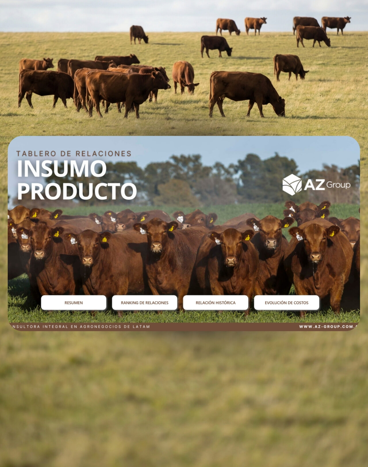 Tablero Insumo Producto