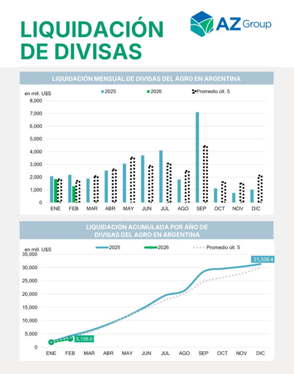 Informe - Liquidación de Divisas